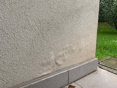 foto1.jpg