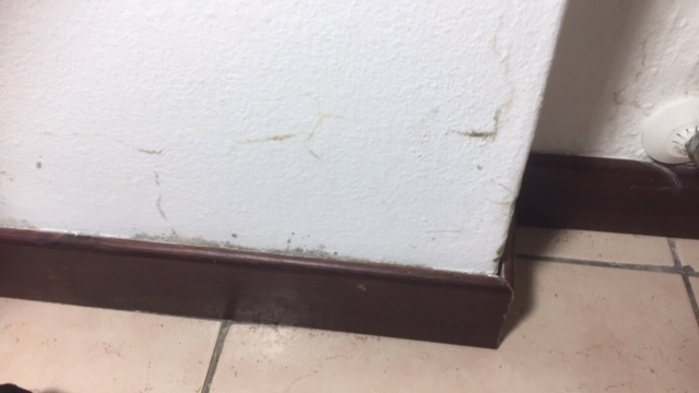 431A11D0-AF40-4E2D-BE7F-FD425DE4C5E4.jpeg
